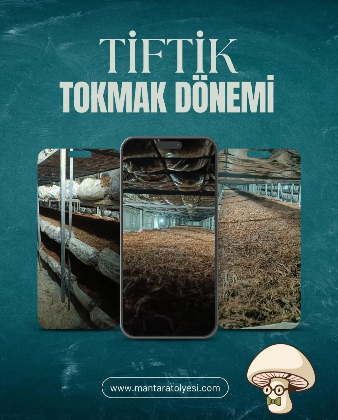 Tiftik Tokmak Dönemi