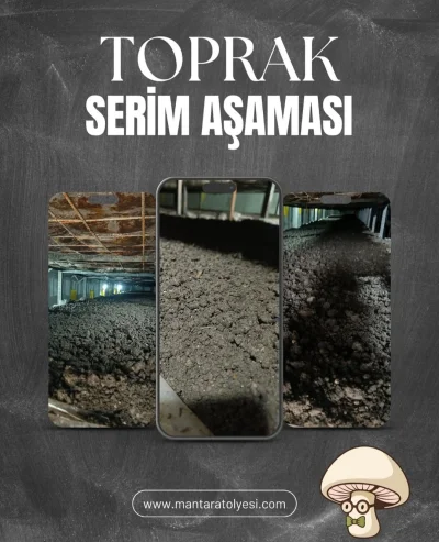 Toprak Serim Aşaması